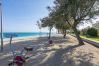 Estudi en Pineda de Mar - HomeHolidaysRentals Diana - Costa Barcelona