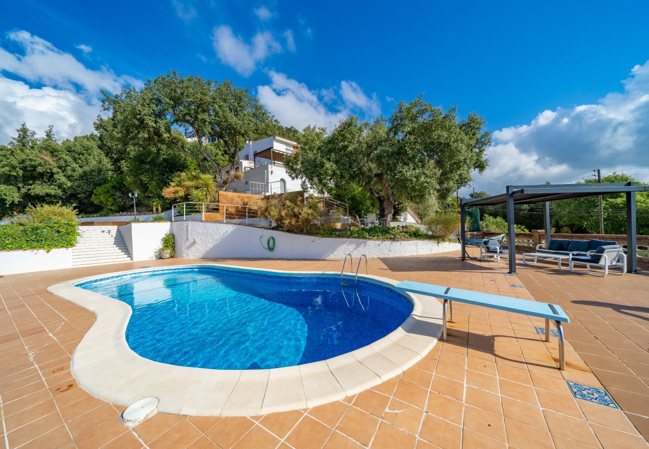 Vil.la en Pineda de Mar - HomeHolidaysRentals Malvina - Costa Barcelona