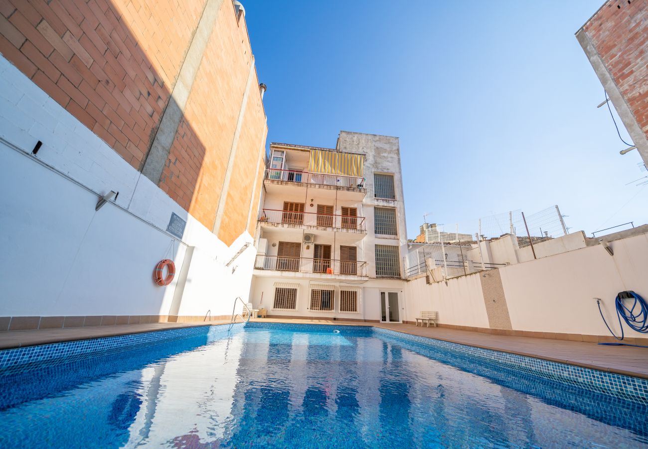 Apartament en Pineda de Mar - HomeHolidaysRentals Plume - Costa Barcelona