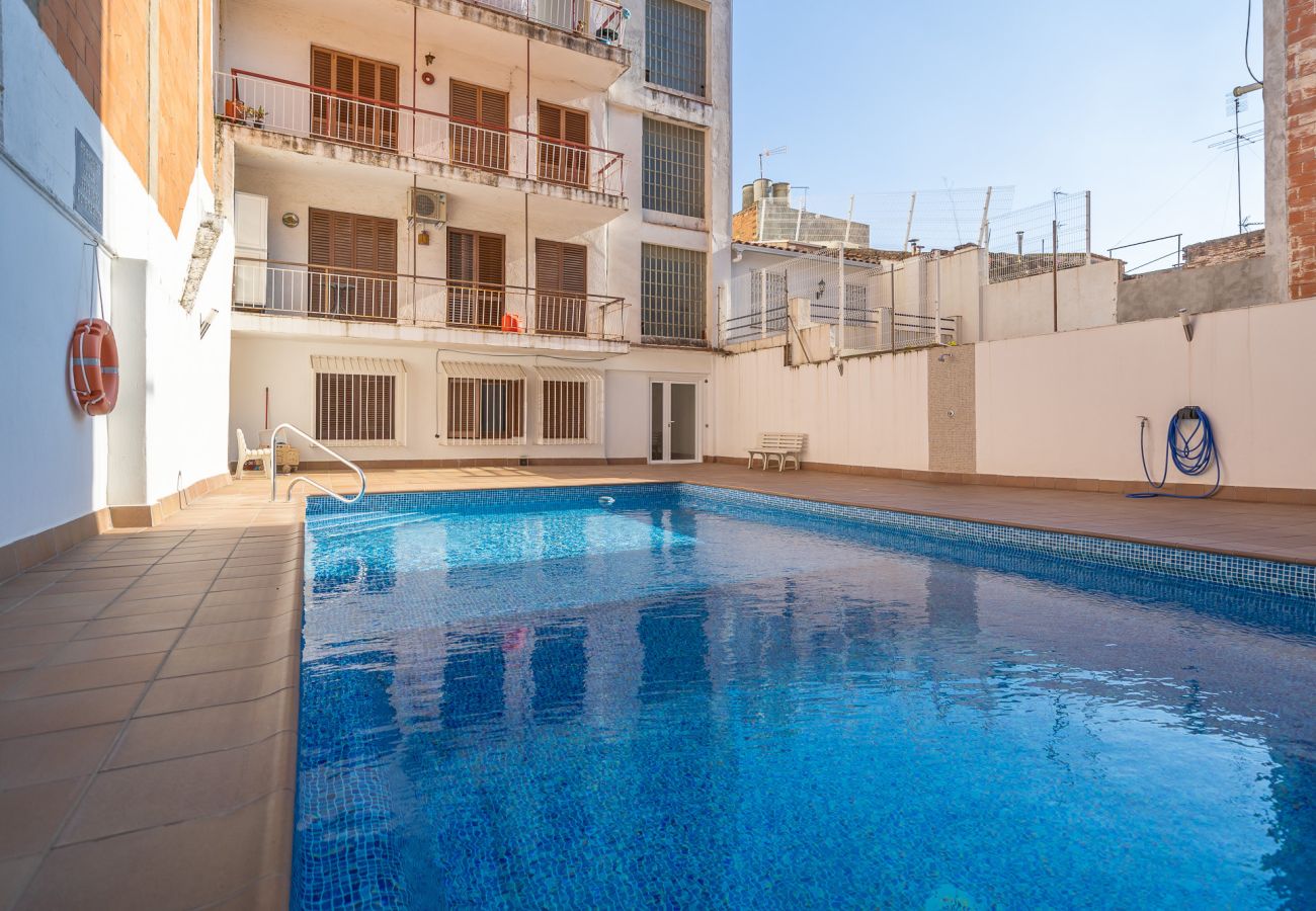 Apartament en Pineda de Mar - HomeHolidaysRentals Plume - Costa Barcelona