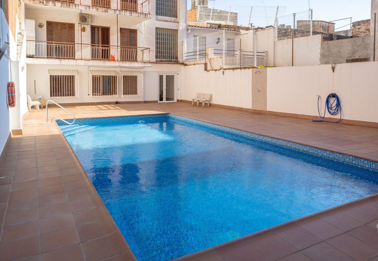 Apartament en Pineda de Mar - HomeHolidaysRentals Plume - Costa Barcelona
