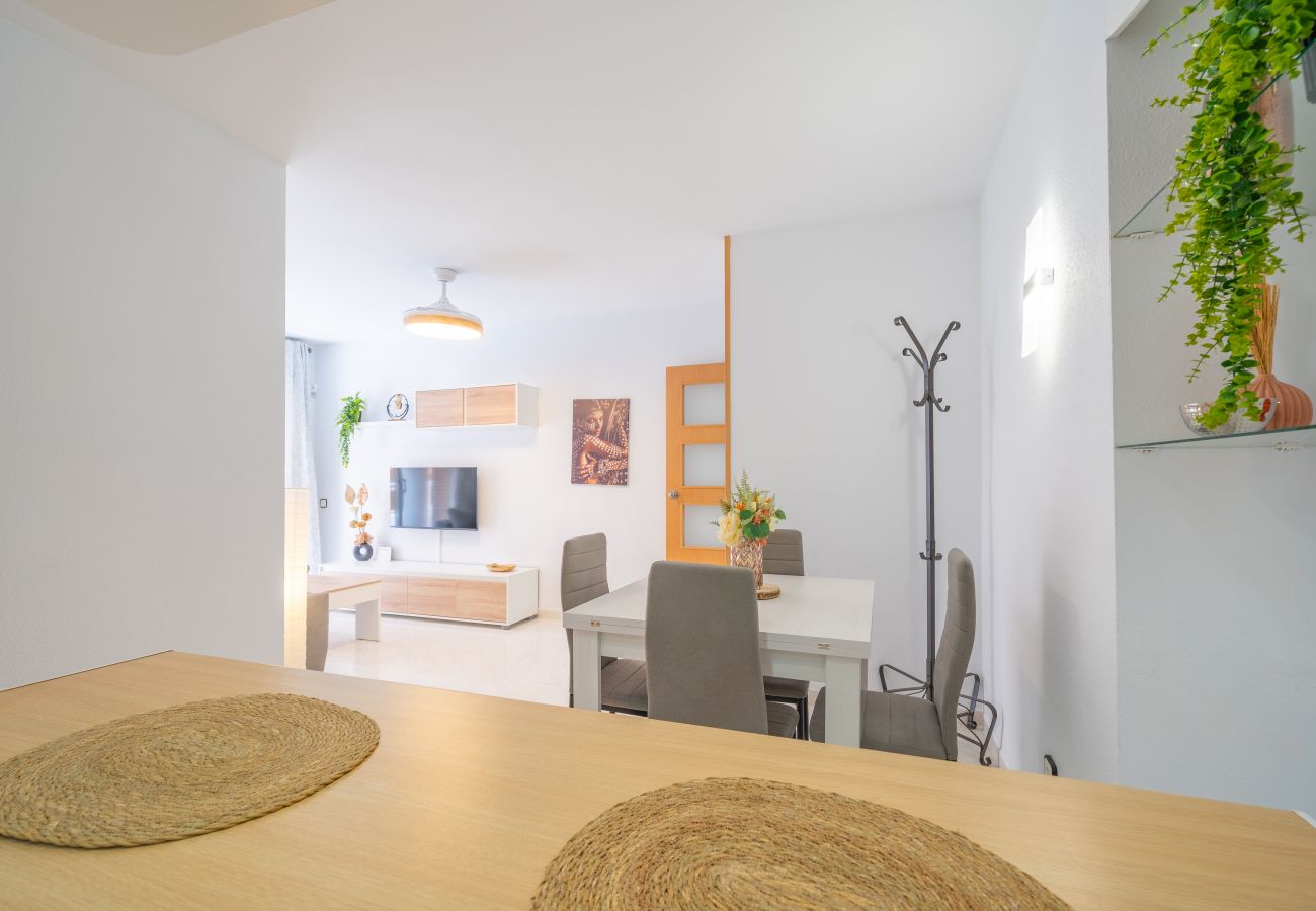 Apartament en Pineda de Mar - HomeHolidaysRentals Caliz - Costa Barcelona