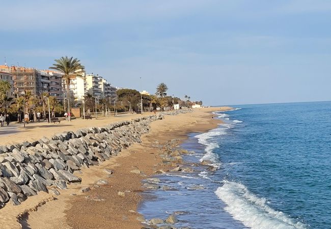 Apartament en Pineda de Mar - HomeHolidaysRentals Singular  - Costa Barcelona