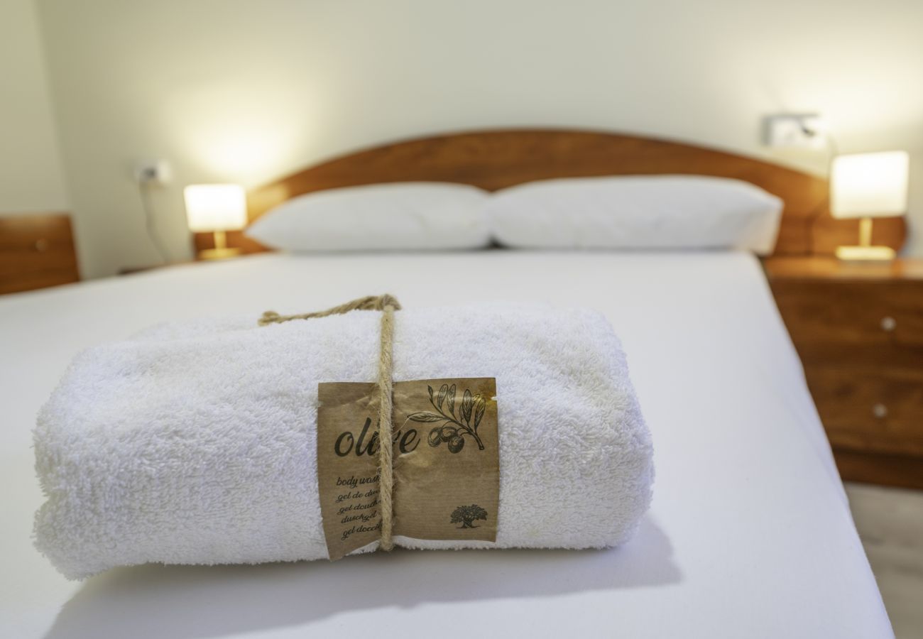 Apartament en Pineda de Mar - HomeHolidaysRentals Noa - Costa Barcelona
