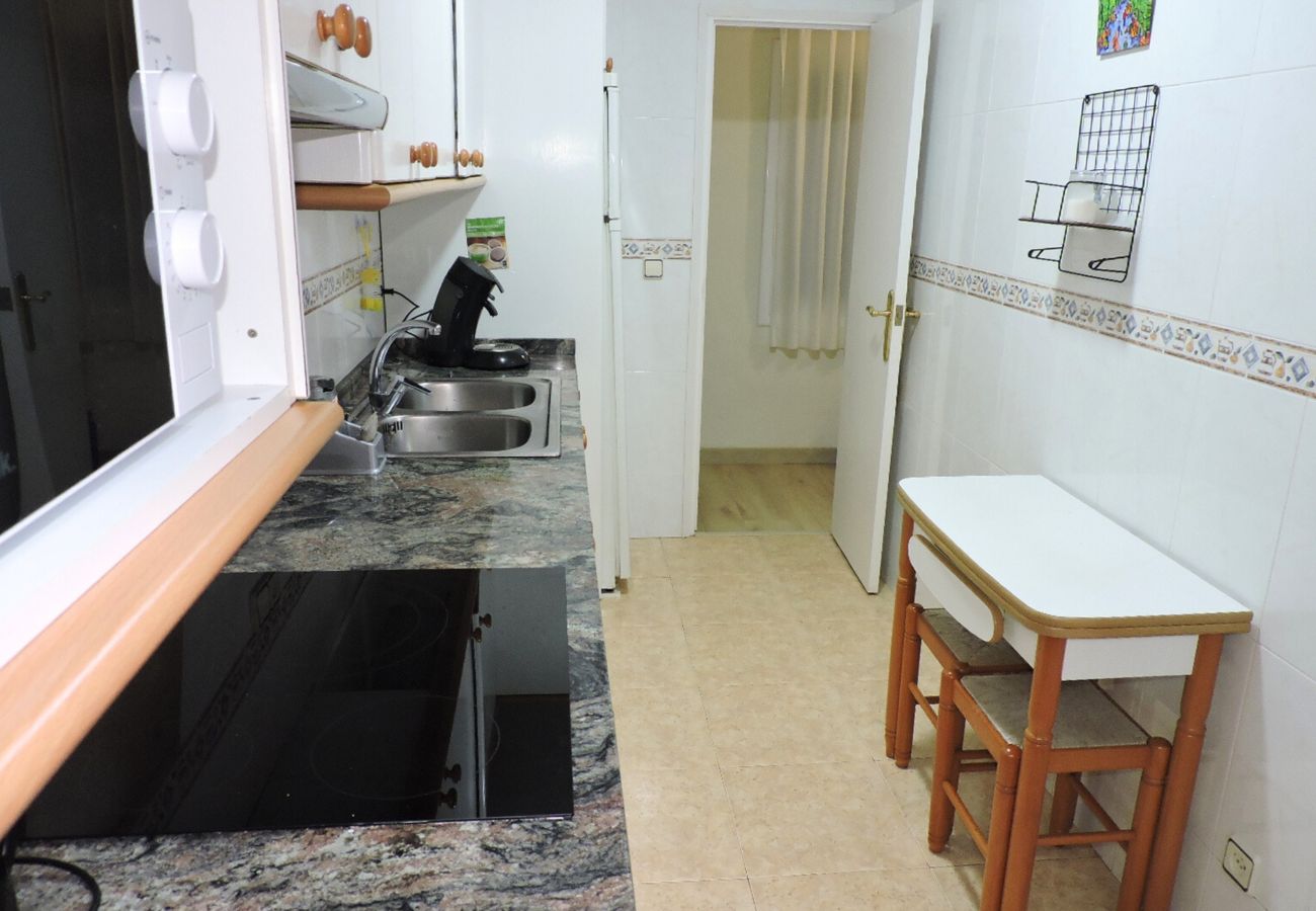 Apartament en Pineda de Mar - HomeHolidaysRentals Noa - Costa Barcelona