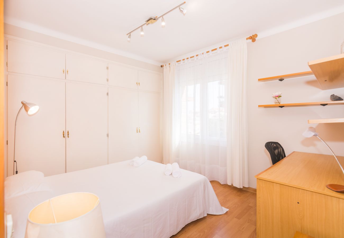 Apartment in Pineda de Mar - HomeHolidaysRentals Amaral - Costa Barcelona