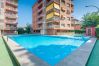 Apartment in Pineda de Mar - HomeHolidaysRentals Amaral - Costa Barcelona