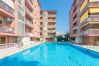 Apartment in Pineda de Mar - HomeHolidaysRentals Amaral - Costa Barcelona