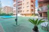Apartment in Pineda de Mar - HomeHolidaysRentals Amaral - Costa Barcelona