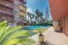 Apartment in Pineda de Mar - HomeHolidaysRentals Amaral - Costa Barcelona