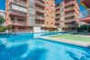 Apartment in Pineda de Mar - HomeHolidaysRentals Amaral - Costa Barcelona
