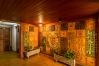 Apartment in Pineda de Mar - HomeHolidaysRentals Amaral - Costa Barcelona