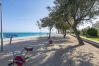 Apartment in Pineda de Mar - HomeHolidaysRentals Amaral - Costa Barcelona