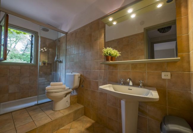 Villa in Cabrils - HomeHolidaysRentals Acuarela - Costa Barcelona