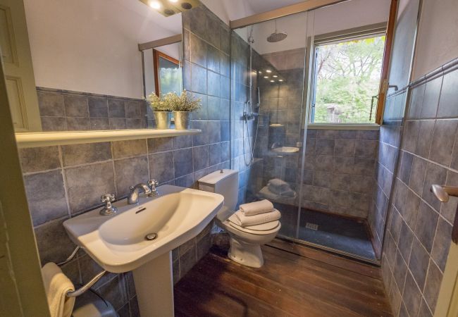 Villa in Cabrils - HomeHolidaysRentals Acuarela - Costa Barcelona