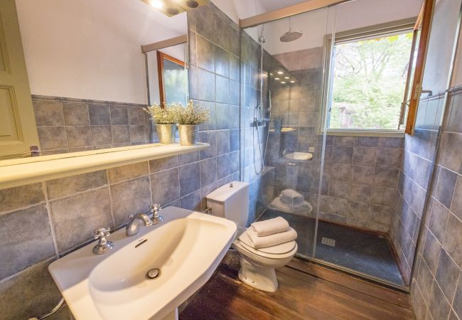 Villa in Cabrils - HomeHolidaysRentals Acuarela - Costa Barcelona