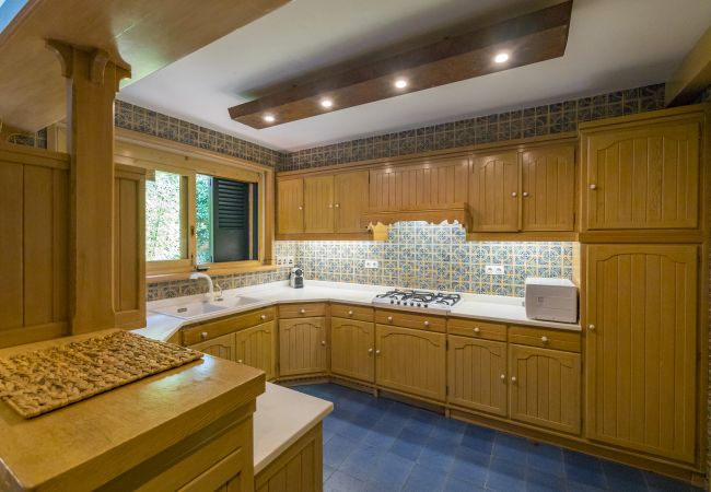 Villa in Cabrils - HomeHolidaysRentals Acuarela - Costa Barcelona