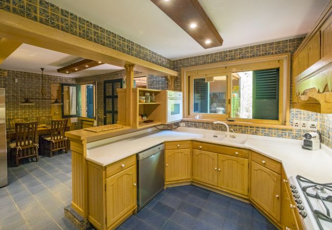Villa in Cabrils - HomeHolidaysRentals Acuarela - Costa Barcelona