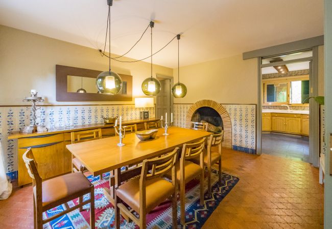 Villa in Cabrils - HomeHolidaysRentals Acuarela - Costa Barcelona