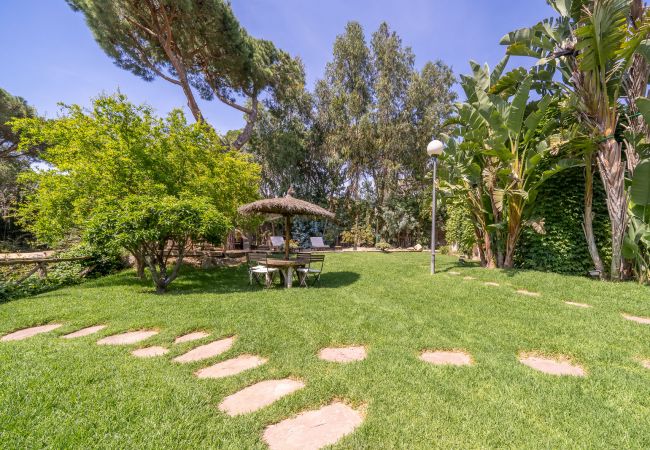 Villa in Cabrils - HomeHolidaysRentals Acuarela - Costa Barcelona