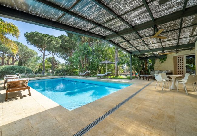 Villa in Cabrils - HomeHolidaysRentals Acuarela - Costa Barcelona