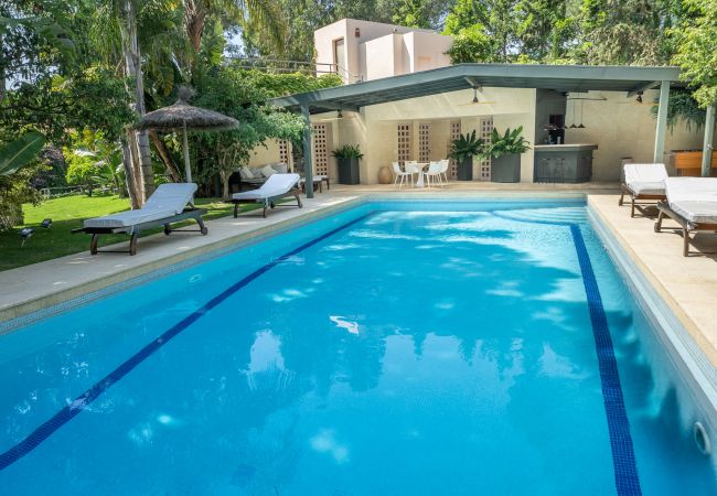 Villa in Cabrils - HomeHolidaysRentals Acuarela - Costa Barcelona
