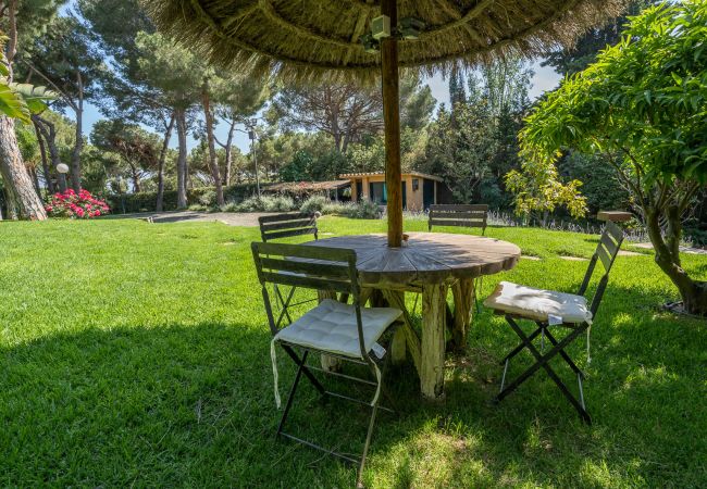 Villa in Cabrils - HomeHolidaysRentals Acuarela - Costa Barcelona