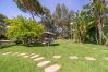 Villa in Cabrils - HomeHolidaysRentals Acuarela - Costa Barcelona