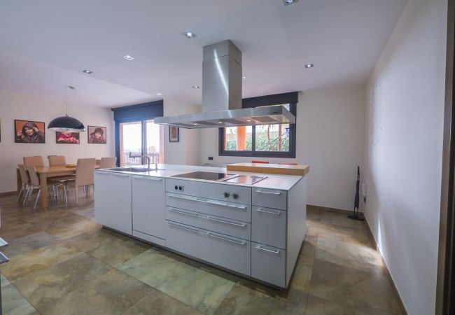 Villa in Santa Susana - HomeHolidaysRentals Albi - Costa Barcelona