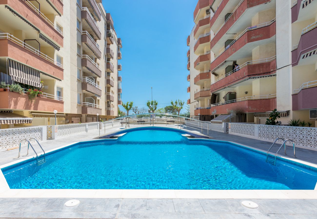 Apartment in Pineda de Mar - HomeHolidaysRentals Palmier - Costa Barcelona
