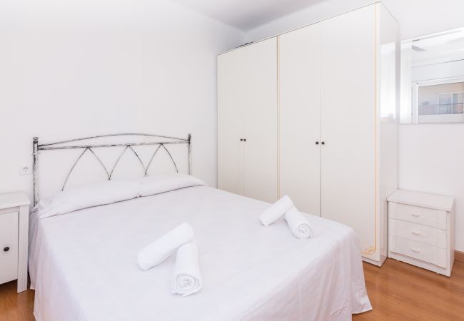 Apartment in Pineda de Mar - HomeHolidaysRentals Doris - Costa Barcelona