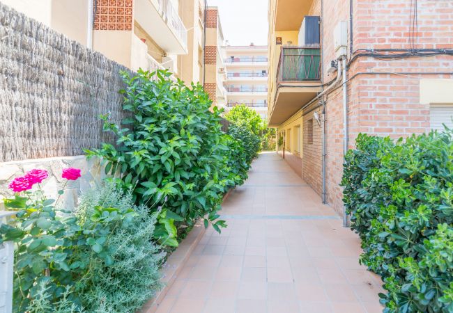 Apartment in Pineda de Mar - HomeHolidaysRentals Doris - Costa Barcelona