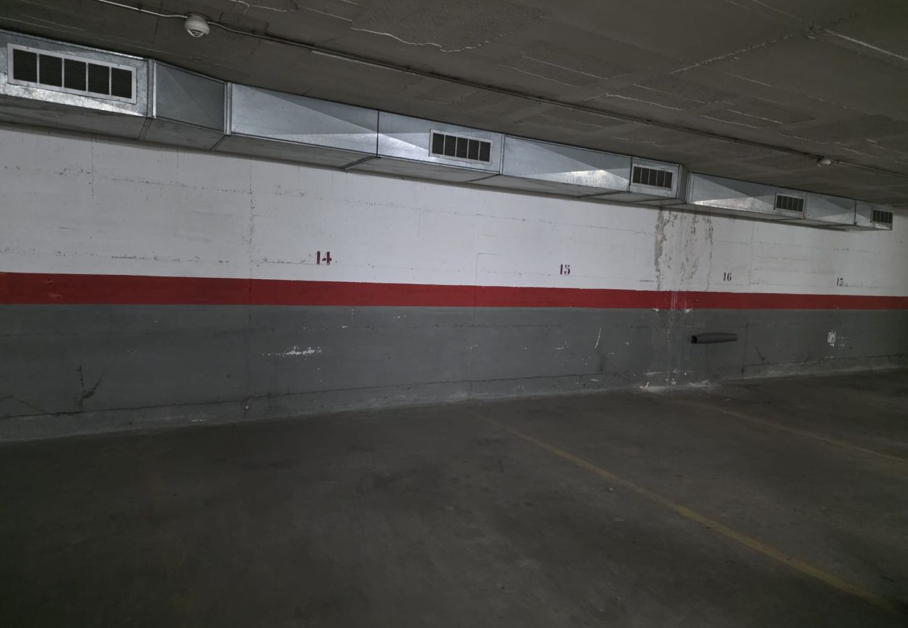 Appartement à Pineda de Mar - HomeHolidaysRentals Sol - Costa Barcelona