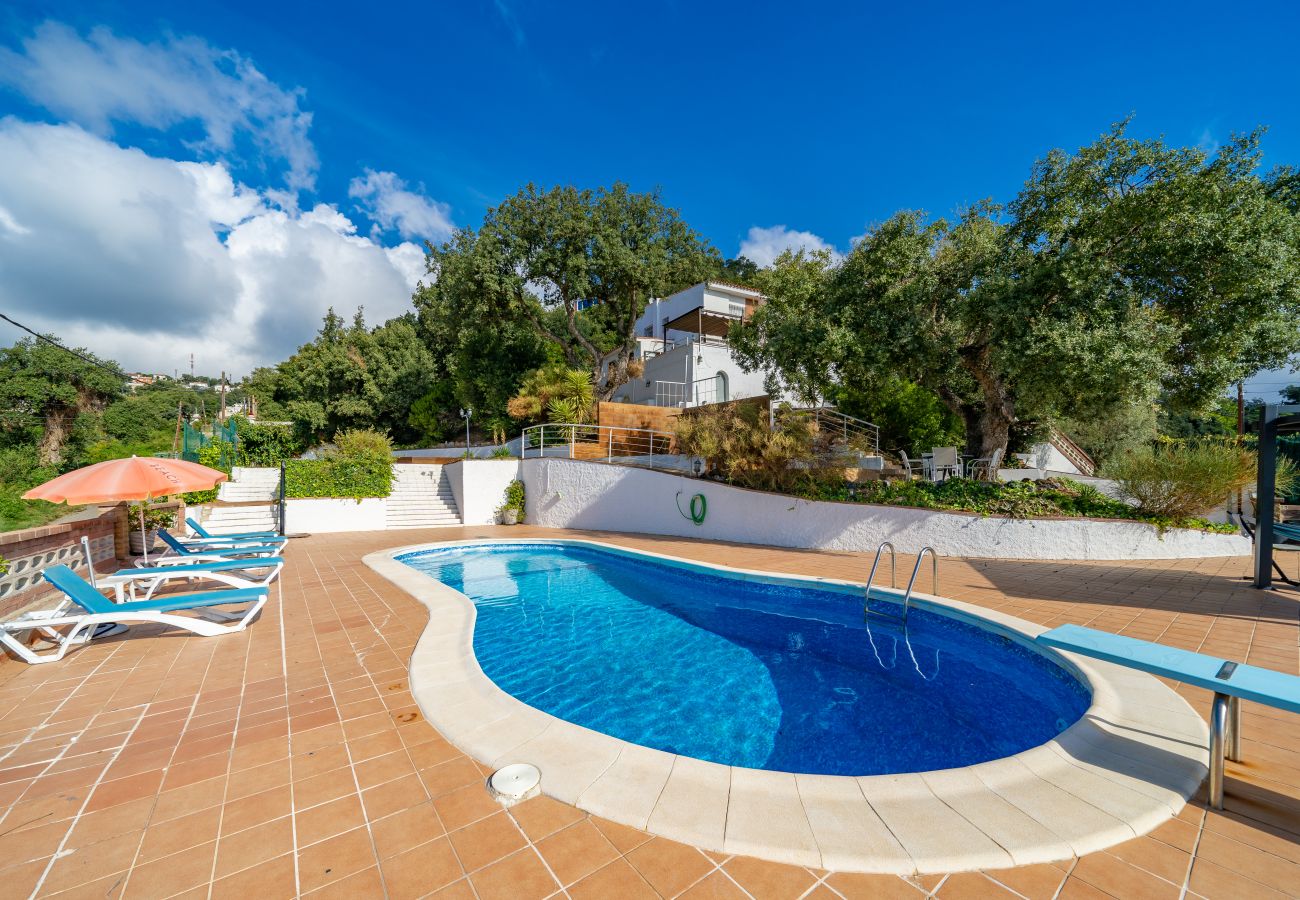 Villa à Pineda de Mar - HomeHolidaysRentals Malvina - Costa Barcelona