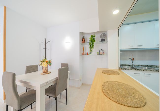 Appartement à Pineda de Mar - HomeHolidaysRentals Caliz - Costa Barcelona