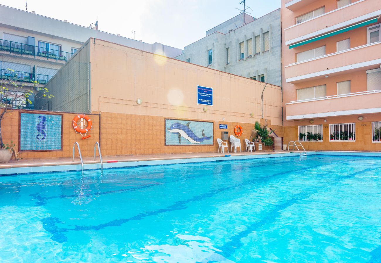 Appartement à Pineda de Mar - HomeHolidaysRentals Magic - Costa Barcelona