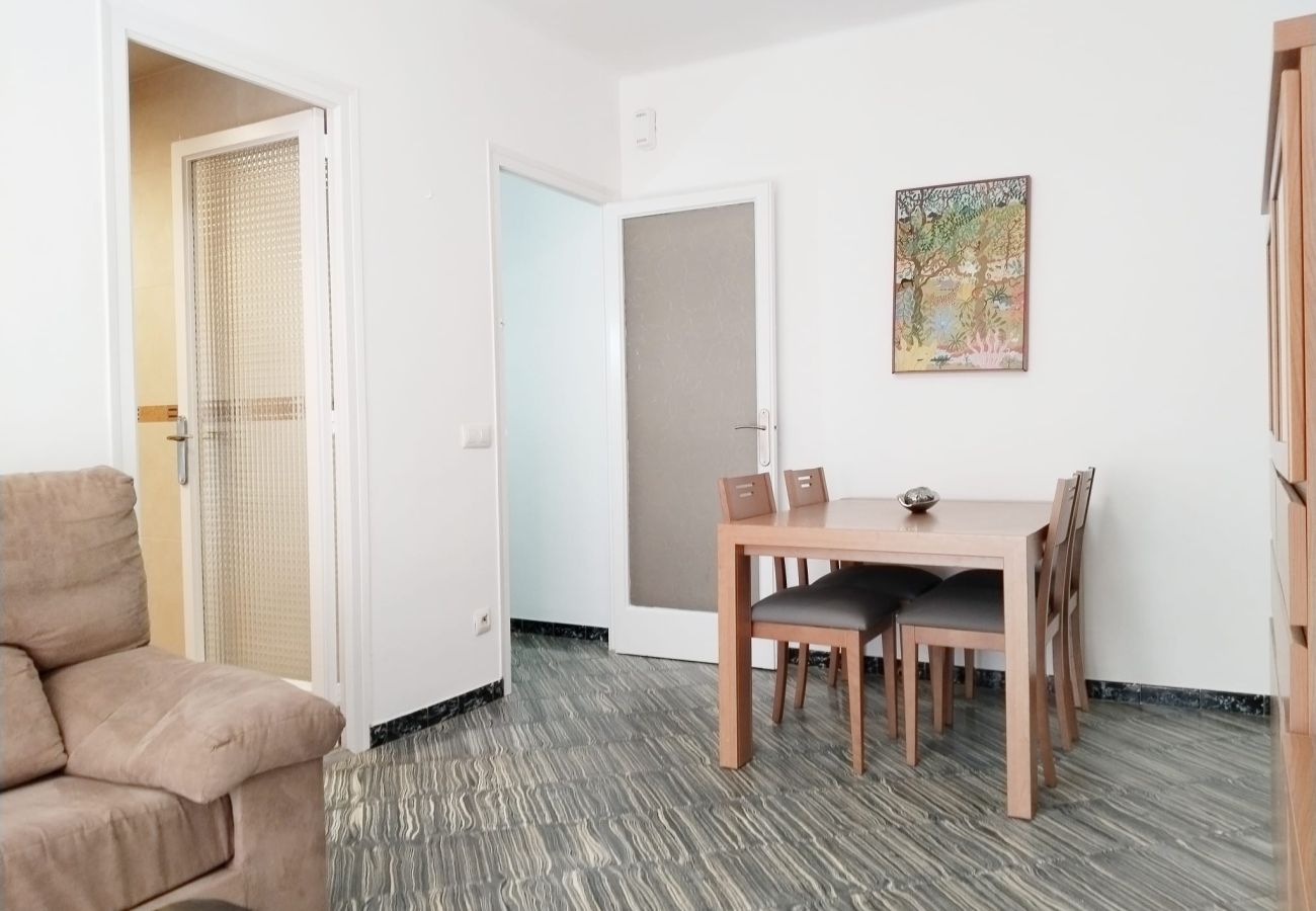 Apartment in Pineda de Mar - HomeHolidaysRentals Pineda II - Costa Barcelona