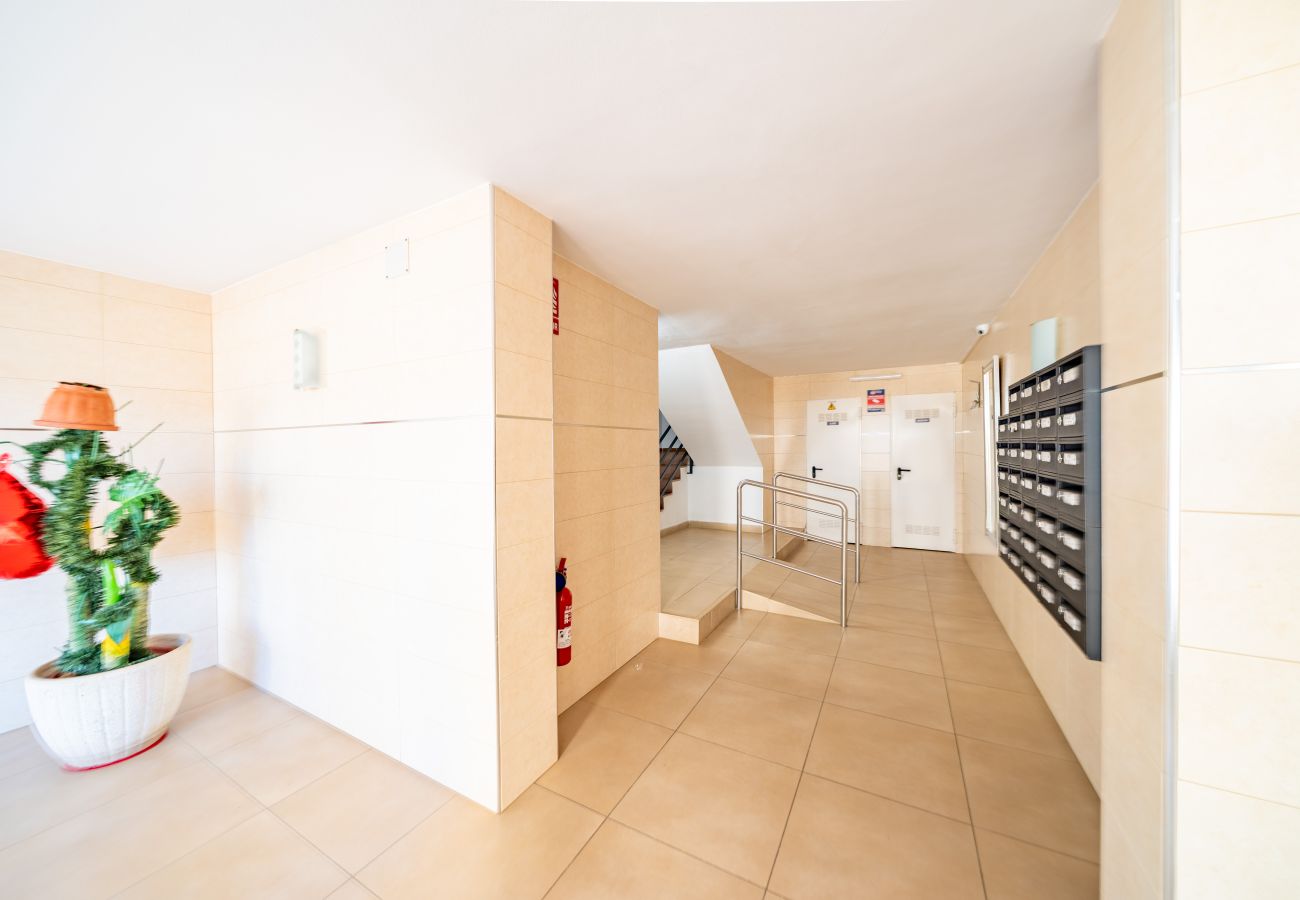 Apartment in Pineda de Mar - HomeHolidaysRentals Sol - Costa Barcelona