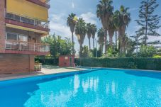 Apartment in Pineda de Mar - HomeHolidaysRentals Amaral - Costa... Apartment in Pineda de Mar - HomeHolidaysRentals Amaral - Costa...