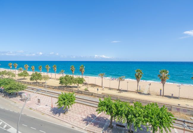Apartment in Canet de Mar - HomeHolidaysRentals Palm Beach - Costa Barcelon