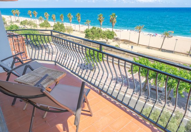 Apartment in Canet de Mar - HomeHolidaysRentals Palm Beach - Costa Barcelon