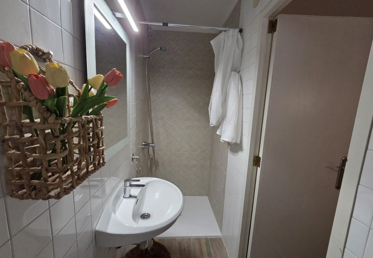 Apartment in Malgrat de Mar - HomeHolidaysRentals Miracel - Costa Barcelona