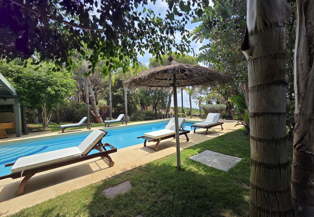 Villa in Cabrils - HomeHolidaysRentals Acuarela - Costa Barcelona