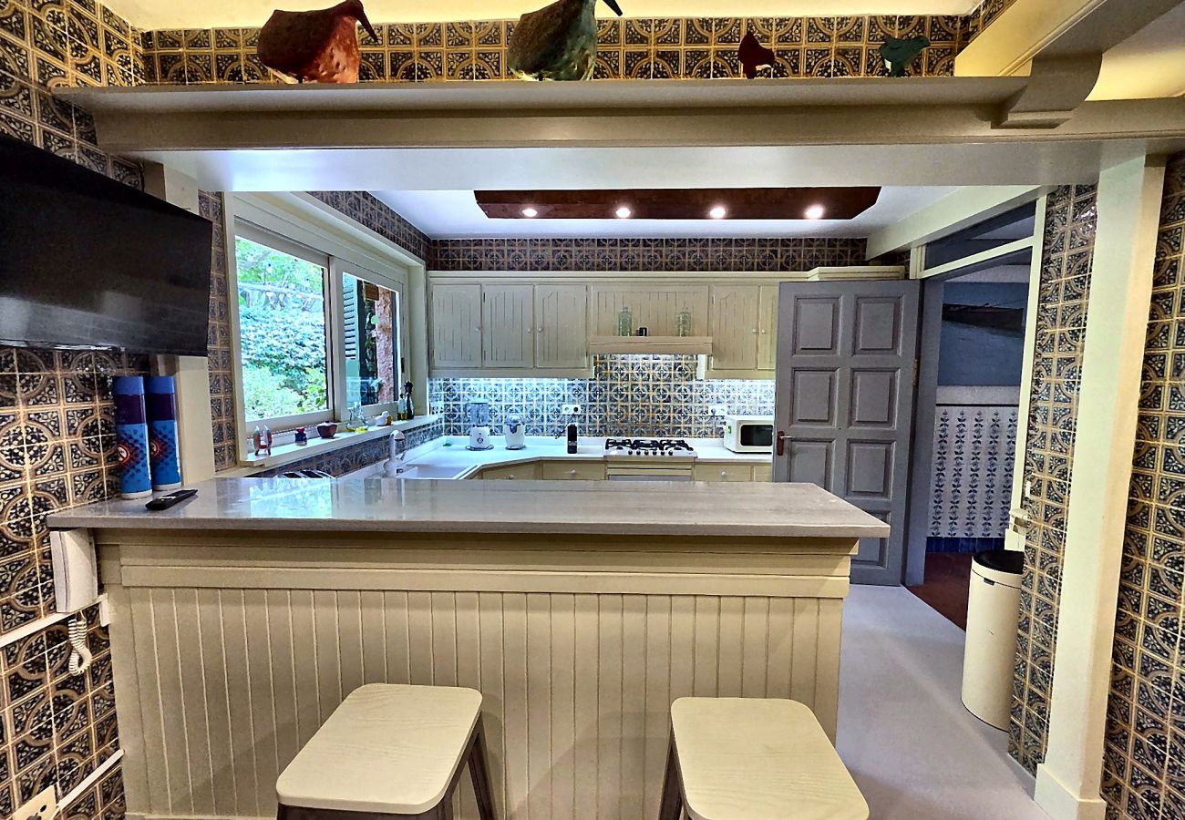 Villa in Cabrils - HomeHolidaysRentals Acuarela - Costa Barcelona