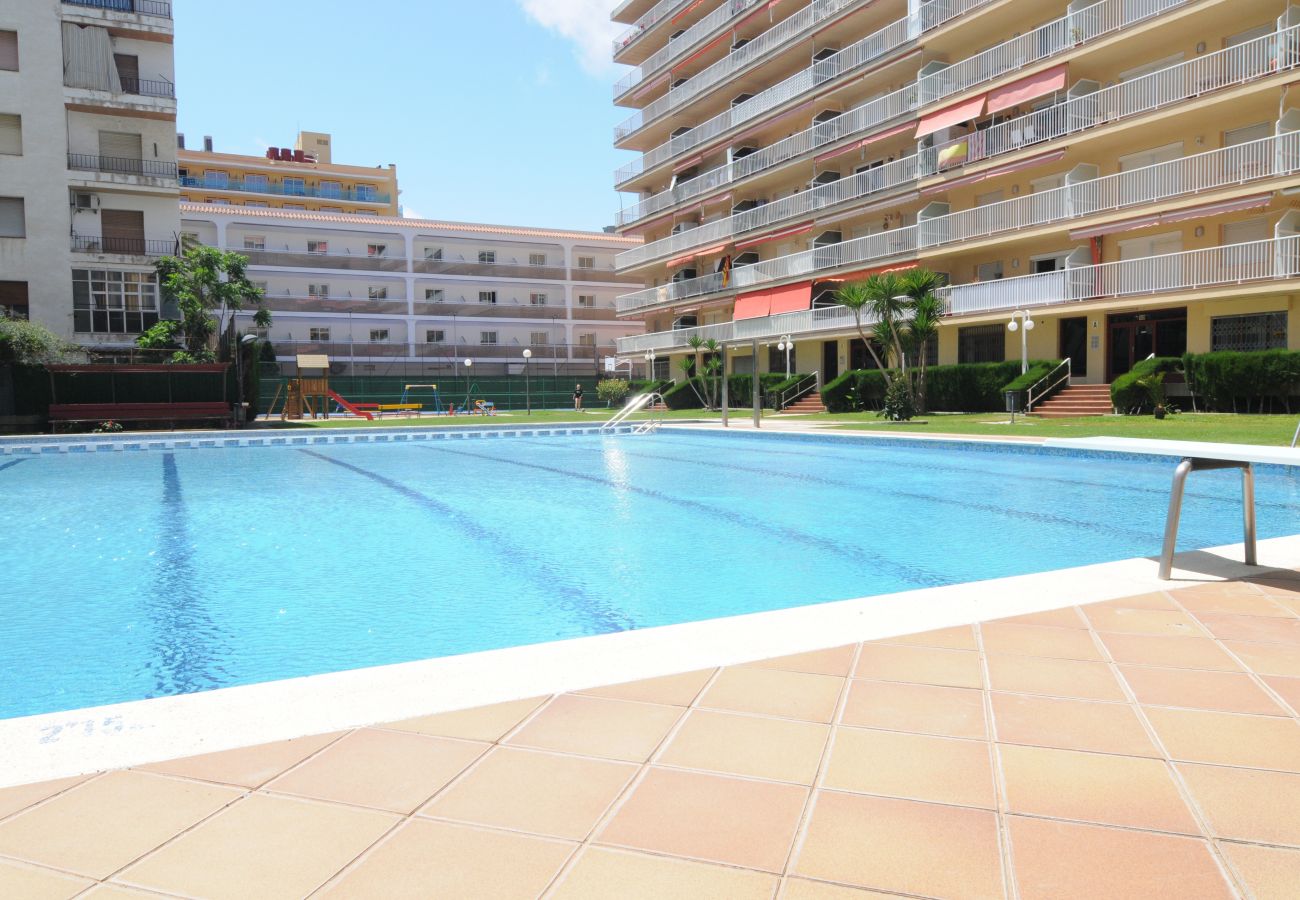 Apartment in Malgrat de Mar - HomeHolidaysRentals Lorraine- Costa Barcelona