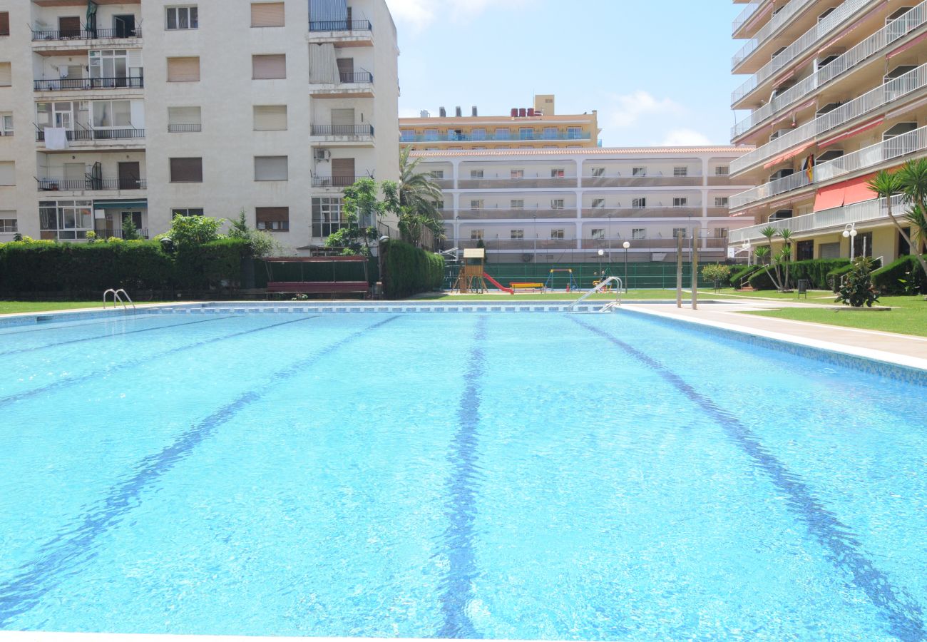 Apartment in Malgrat de Mar - HomeHolidaysRentals Lorraine- Costa Barcelona