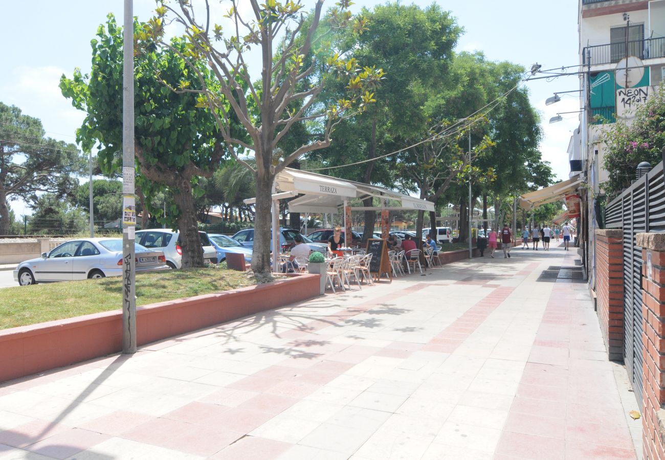 Apartment in Malgrat de Mar - HomeHolidaysRentals Lorraine- Costa Barcelona