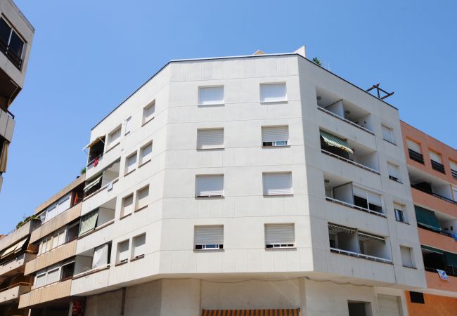 Apartment in Pineda de Mar - HomeHolidaysRentals Tarongers - Costa Barcelona