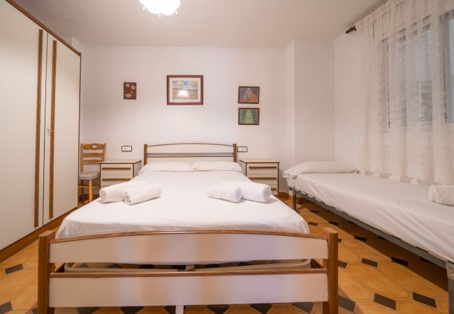 Apartment in Pineda de Mar - HomeHolidaysRentals Tarongers - Costa Barcelona