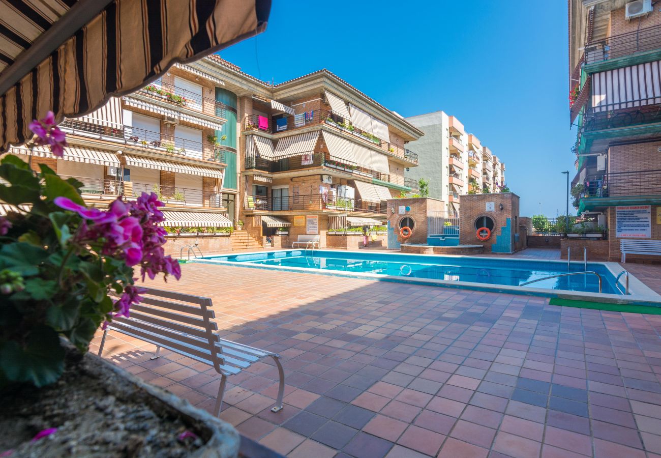 Apartment in Pineda de Mar - HomeHolidaysRentals Frida - Costa Barcelona